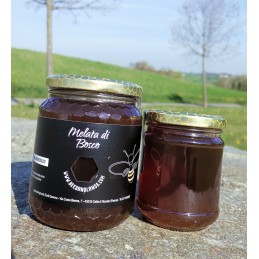 Miele di Melata di bosco 250 G. Bees & Lands