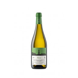 NINO- VERDISO IGT FRIZZANTE...