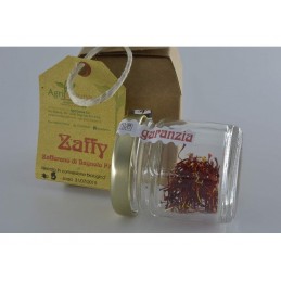 "Zaffy di Bagnolo"...