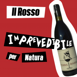 Terra Bassa Rosso 2021