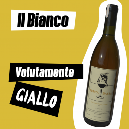 Terra Bassa Bianco 2021